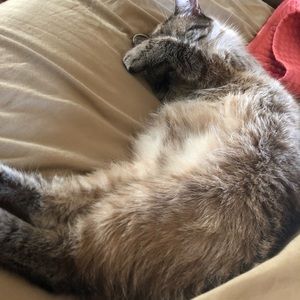 Meet your Posher, Elena